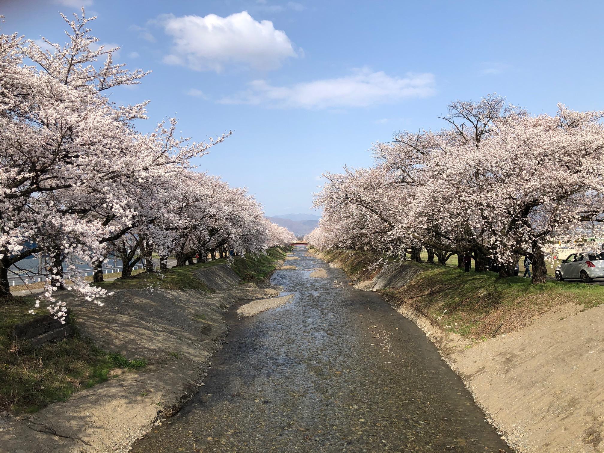 安曇野工場西側あぜ道.jpg