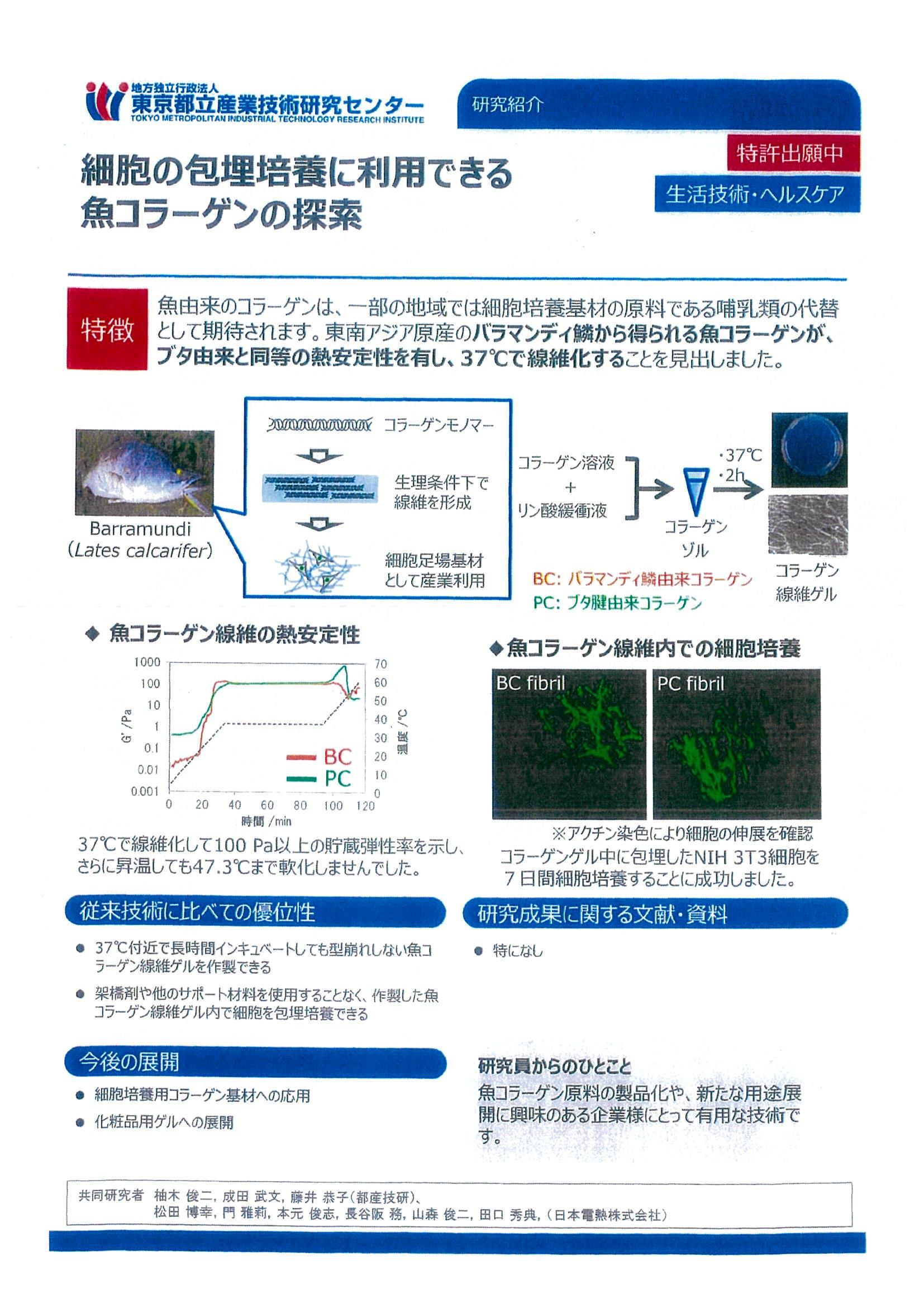 ②都産技研研究紹介細胞の包埋培養に利用できる魚コラーゲンの探索.jpg